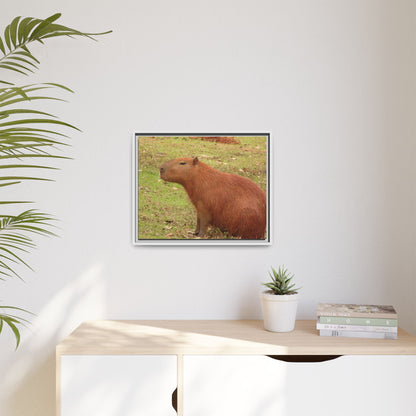 Your Dream in a Canvas