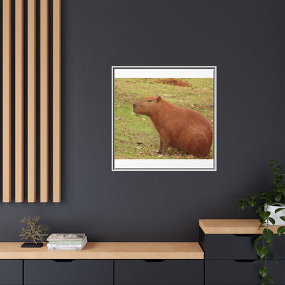Your Dream in a Canvas