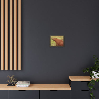 Your Dream in a Canvas