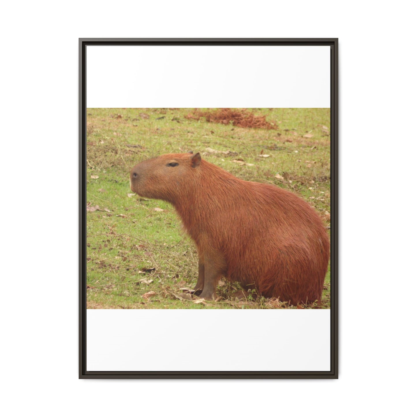 980191024