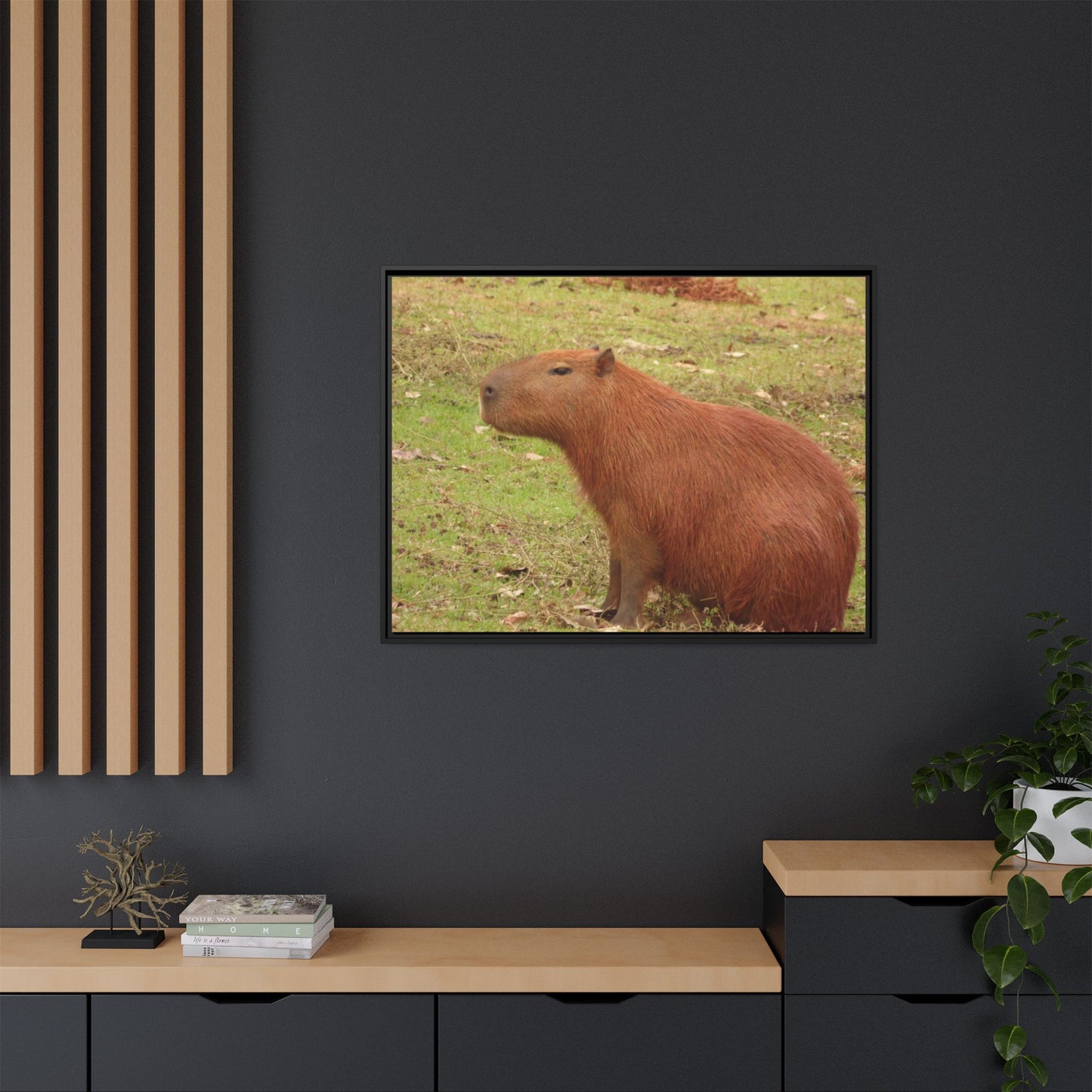 Your Dream in a Canvas