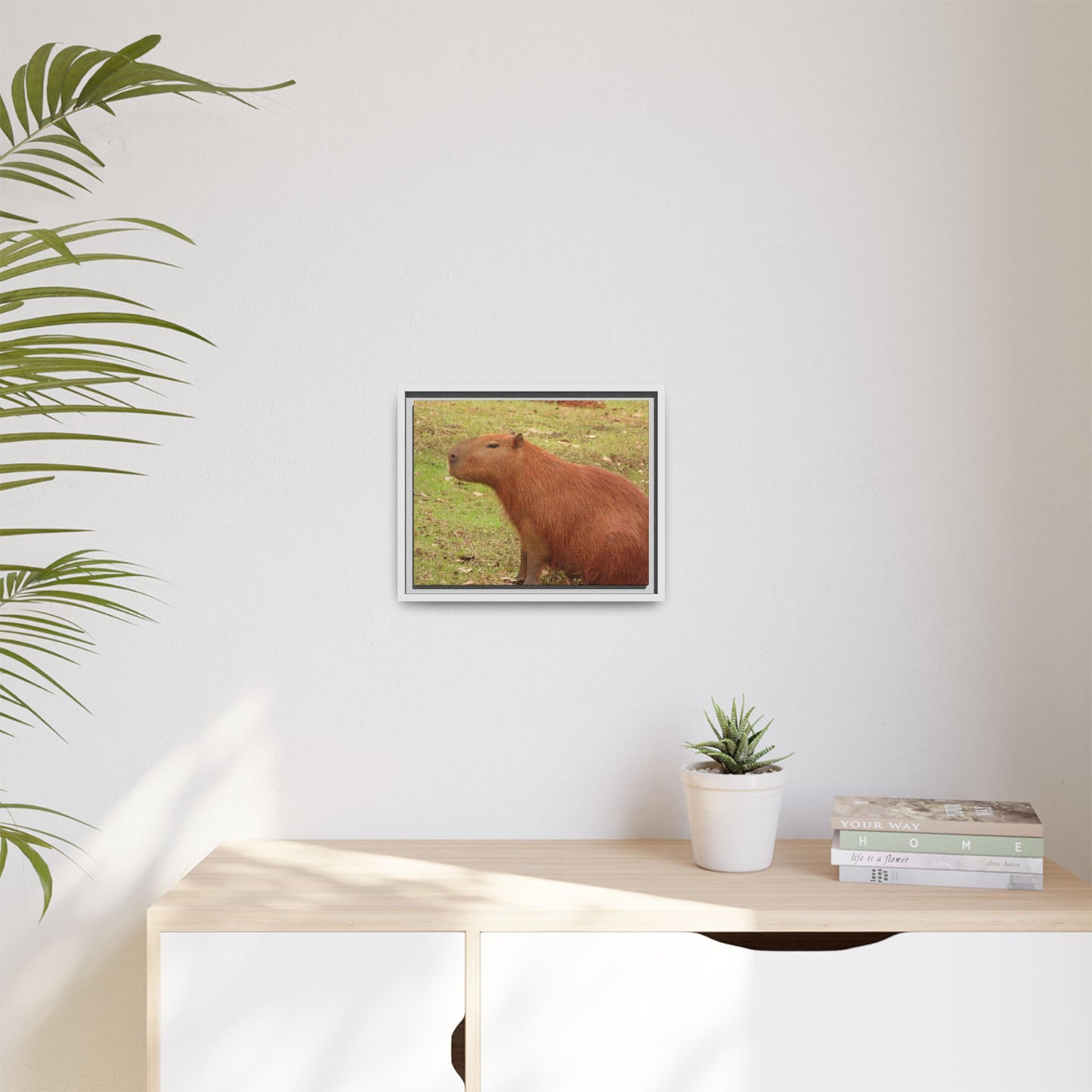 Your Dream in a Canvas