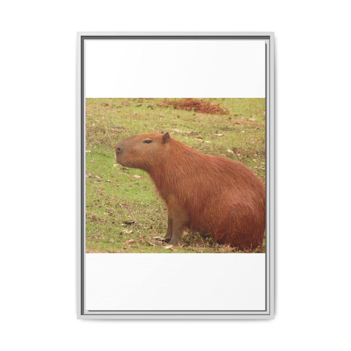 980191021
