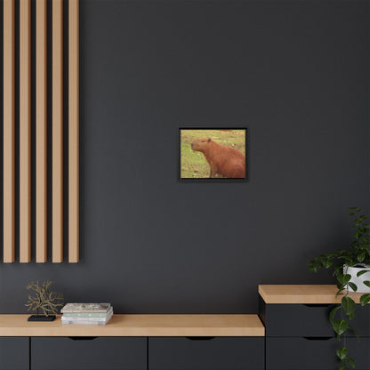 Your Dream in a Canvas