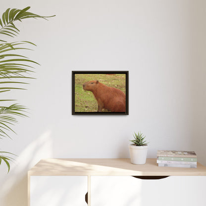 Your Dream in a Canvas