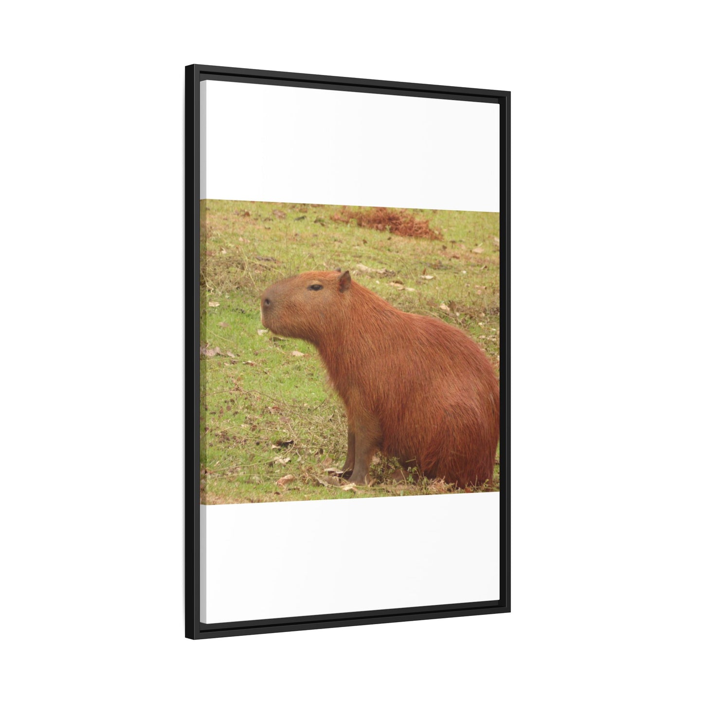 Your Dream in a Canvas