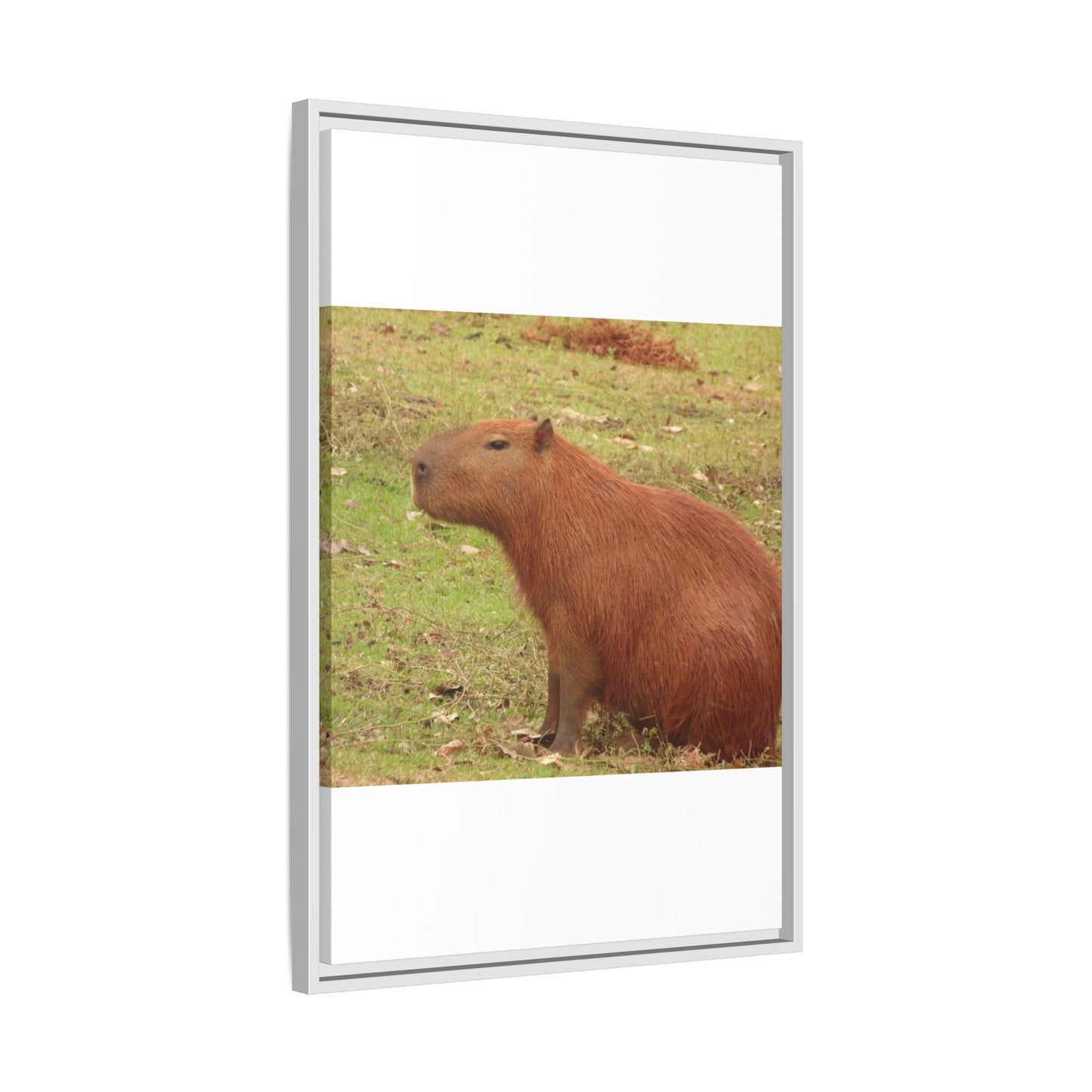 Your Dream in a Canvas